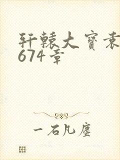 轩辕大宝袁雪妃674章