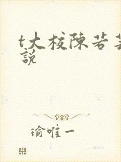 t大校陈若芸小说