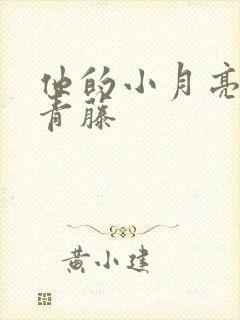 他的小月亮by青藤