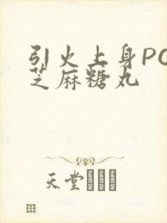 引火上身POP芝麻糖丸封面