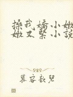 搡我娇小嫩苞又嫩又紧小说封面