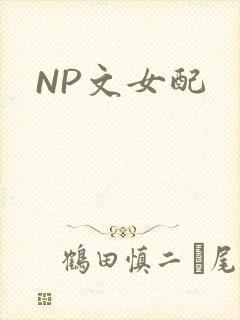 NP文女配
