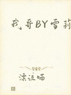 我哥BY雪莉封面