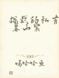 总裁的私有宝贝 暮山紫