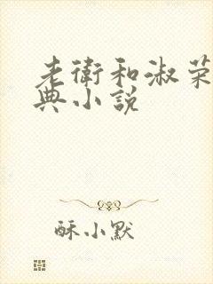 老卫和淑荣的经典小说封面