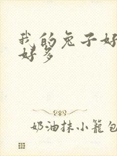 我的兔子好软水好多