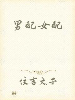 男配女配封面