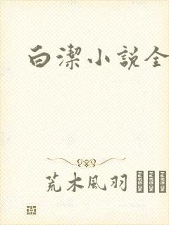 白洁小说全文
