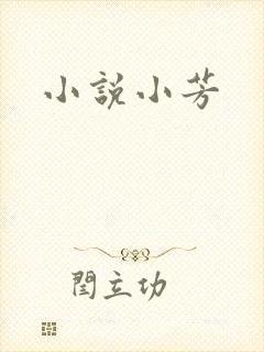 小说小芳