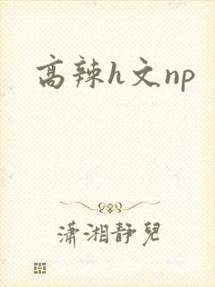 高辣h文np封面