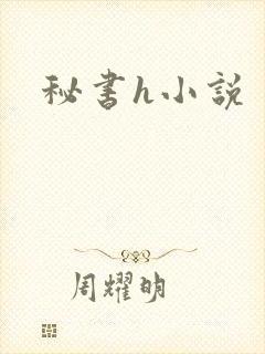 秘书h小说封面
