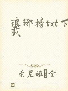 琅琊榜txt下载