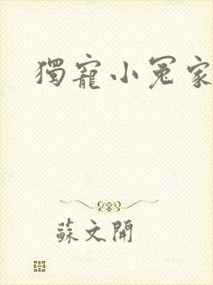 独宠小冤家封面