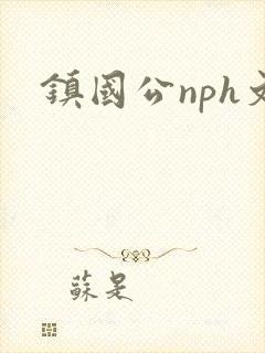 镇国公nph文封面