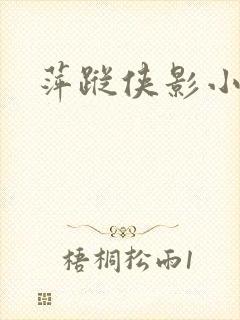 萍踪侠影小说封面