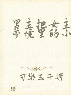 男主把女主拖进梦境里的小说