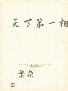 天下第一相书封面