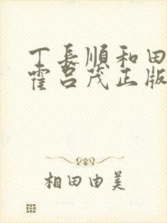 丁长顺和田晓兰霍吕茂正版封面