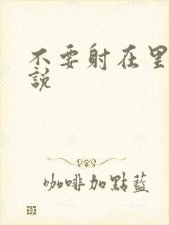 不要射在里面小说