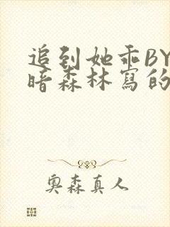 追到她乖BY黑暗森林写的小说封面