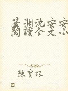 萧渊沈安安免费阅读全文小说