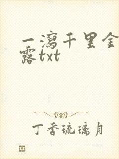 一泻千里金银花露txt