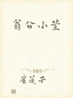 翁公小莹
