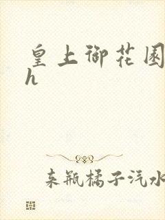 皇上御花园hlh封面