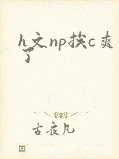 h文np挨c爽了封面