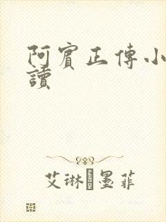 阿宾正传小说在读