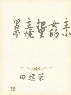 男主把女主拖进梦境里的小说