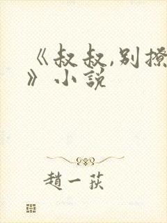 《叔叔,别撩我》小说