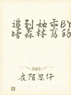 追到她乖BY黑暗森林写的小说