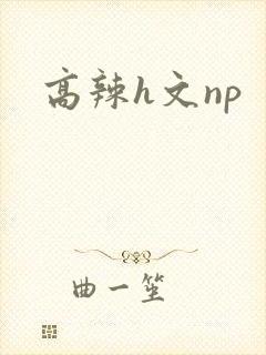 高辣h文np