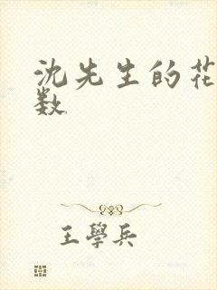 沈先生的花式调数