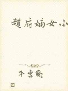 赵府嫡女小说封面