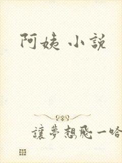 阿姨 小说