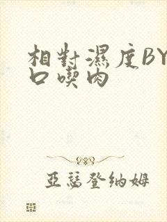 相对湿度BY大口吃肉