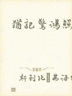 犹记惊鸿照影封面