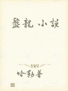 盘龙 小说