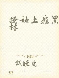 撩她上瘾黑暗森林封面