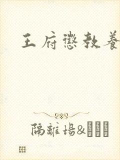 王府惩教养日常