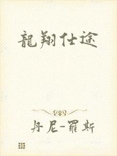 龙翔仕途封面