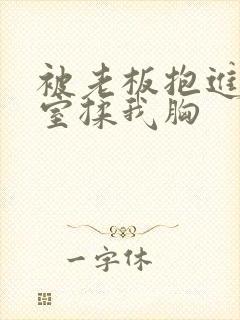 被老板抱进办公室揉我胸