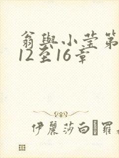 翁与小莹第十部12至16章