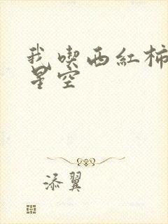 我吃西红柿吞噬星空封面