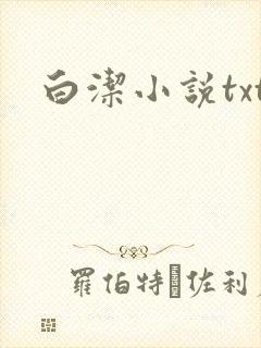 白洁小说txt封面