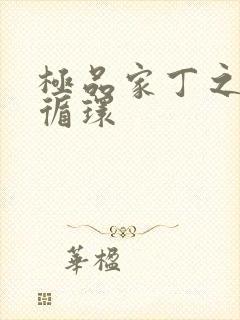 极品家丁之因果循环