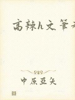高辣h文笔趣阁
