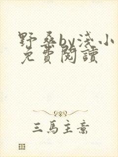 野桑by浅小说免费阅读